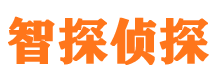 理塘市私人侦探